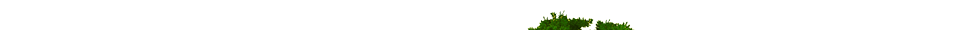 navershie